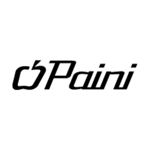 PAINI